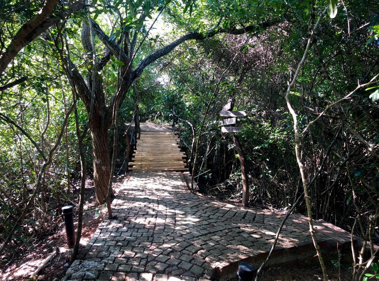 Cloud Nine Wilpattu By Aaradhya Hotel Wanathavilluwa Екстериор снимка